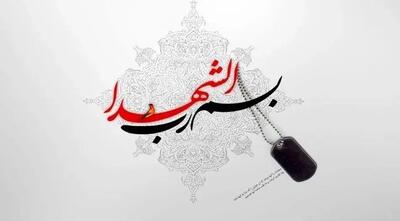 عکس جگر سوز از همسر و فرزند خردسال شهید رامین نصیری