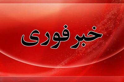 پدافند رباط کریم ریزپرنده متخاصم را منهدم کرد