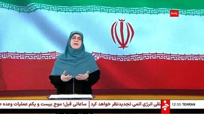 مهاجرانی: سازمان انرژی اتمی آلودگی هسته‌ای را رد کرد