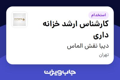 استخدام کارشناس ارشد خزانه داری در دیبا نقش الماس
