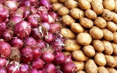توقف صادرات سیب زمینی و پیاز