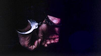 جزییات بازداشت دو جاسوس در شمال کشور