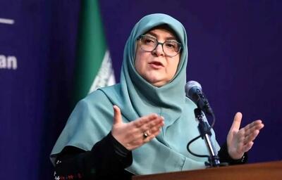 سخنگوی دولت: دورکاری کارکنان امروز و فردا ادامه دارد (فیلم)