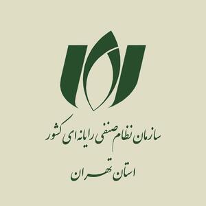 شفاف‌سازی رئیس سازمان نظام صنفی رایانه‌ای درباره دسترسی شرکت‌ها به اینترنت بین‌الملل