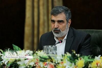 رشد صنعت هسته‌ای متوقف نخواهد شد