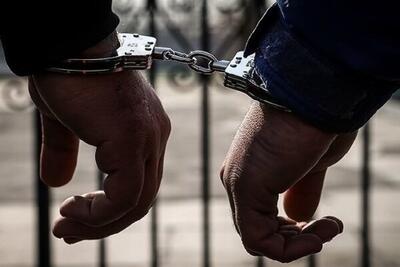 ۶ جاسوس در همدان دستگیر شدند