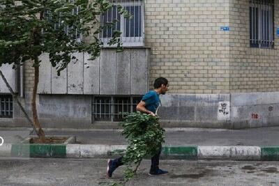 پیش‌بینی باد و خاک در تهران