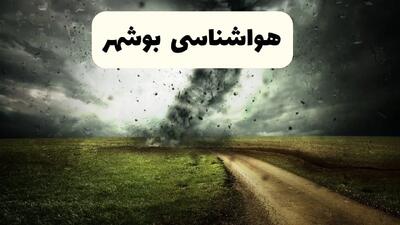 پیش بینی وضعیت آب و هوا بوشهر فردا چهارشنبه ۴ تیر ماه ۱۴۰۴ | خبر فوری هواشناسی بوشهر فردا