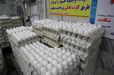 قیمت انواع تخم مرغ پوست سفید و قهوه‌ای اعلام شد