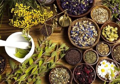 تکمیل و راه‌اندازی دهکده گیاهان دارویی شاهرود نیازمند اعتبار است - تسنیم