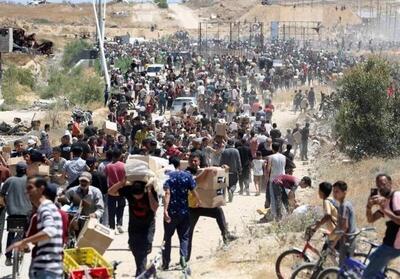 شهادت 516 فلسطینی در صفوف انتظار کمک‌ها - تسنیم