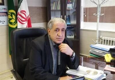 33 مرکز خرید گندم در اردبیل محصولات کشاورزان را خریداری می‌کنند - تسنیم
