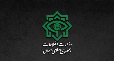 گزارش وزارت اطلاعات از شناسایی عوامل سرویس‌های جاسوسی