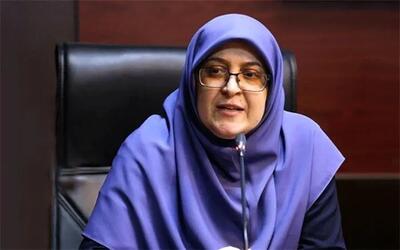 مهاجرانی: اینترنت امروز به حالت عادی برمی‌گردد/ پروازها به تدریج برقرار می‌شود
