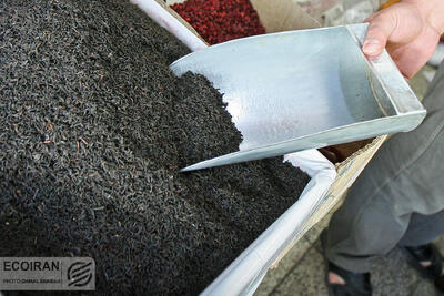واردات 2 کالای پرمتقاضی آزاد شد + جزئیات