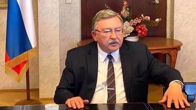 واکنش اولیانوف به تعلیق همکاری ایران با آژانس اتمی