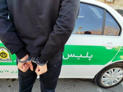 زن و شوهر سارق به بن بست رسیدند
