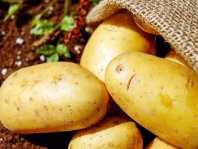 آیا مصرف سیب زمینی به کاهش وزن کمک می‌کند؟