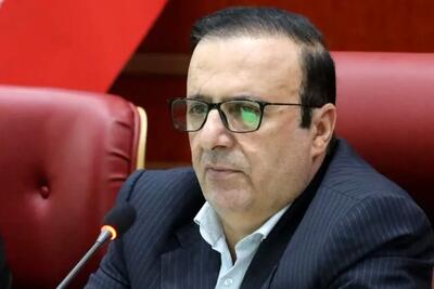 نباید تولیدکننده به خاطر بدهی بانکی و مالیاتی از تسهیلات دولتی محروم شود