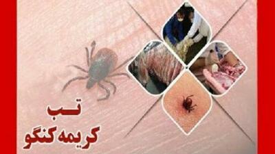 بستری ۳ بیمار مبتلا به بیماری تب کریمه کنگو در اردبیل