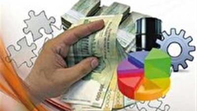 پرداخت ۱۹۷ میلیارد تومان تسهیلات تبصره ۱۸ در خراسان جنوبی