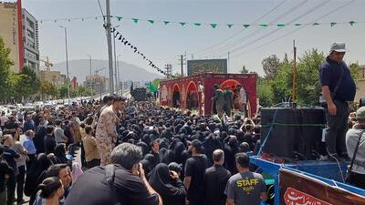 بدرقه باشکوه کبوتران خونین بال بهشت در البرز
