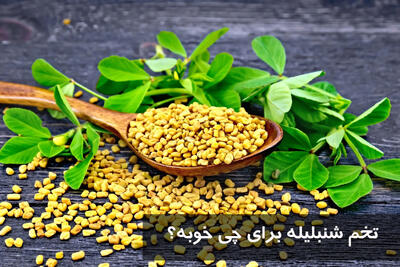  تخم شنبلیله برای چی خوبه؟ طریقه مصرف شنبلیله برای کاهش قند خون و لاغری