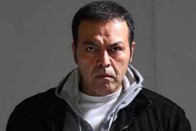 فریبرز عرب نیا: در حال بازگشت به ایرانم/ فیلم