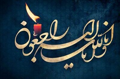 شهادت بوکسور دانشمند هسته‌ای ایران در حملات اسرائیل