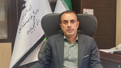 مطالبات گندمکاران کهگیلویه و بویراحمدی به زودی پرداخت می‌شود