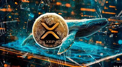 نهنگ‌های ریپل ۹۱۵ میلیون دلار XRP انباشت کردند! سیگنال صعود قریب‌الوقوع؟
