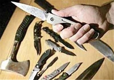 کاهش 24درصدی جرایم خشن در شهر مرزی/رفع تصرف 1100 نقطه اراضی - تسنیم