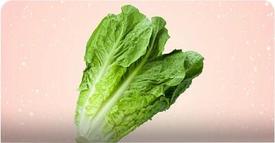 مغز کاهو را بخوریم یا دور بریزیم؟