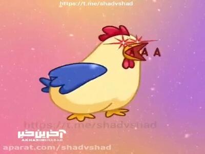 صبح بخیر بچه ها/یک صبح شاد و پر انرژی