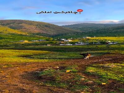 ییلاق زیبای چاکدشت شهرستان املش