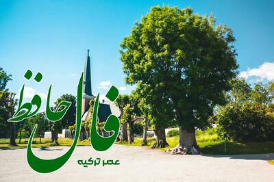 فال حافظ 6 تیر 1404: گاهی عجولانه و شتابزده عمل می کنی