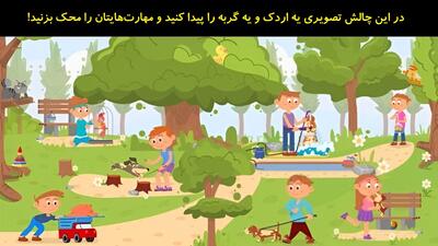 در این چالش تصویری یه اردک و یه گربه را پیدا کنید و مهارت‌هایتان را محک بزنید!