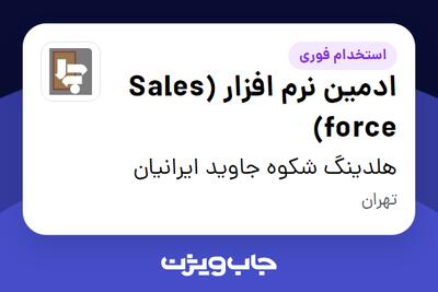 استخدام ادمین نرم افزار (Sales force) در هلدینگ شکوه جاوید ایرانیان