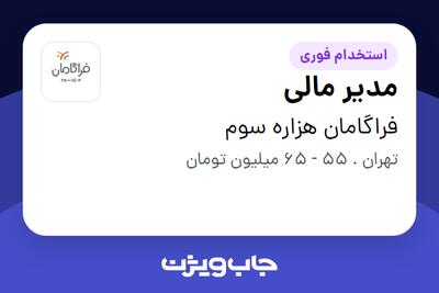 استخدام مدیر مالی در فراگامان هزاره سوم