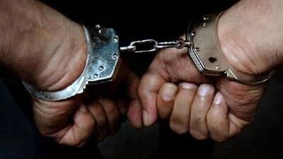 متهمین تیراندازی به محیط‌بان کرمانی دستگیر شدند