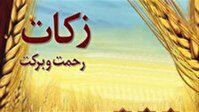 پیش بینی پرداخت ۸۰ میلیارد زکات در ساوه