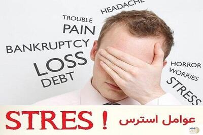 سالم بمانید، مقاوم باشید/ اصول تغذیه در شرایط اضطراری