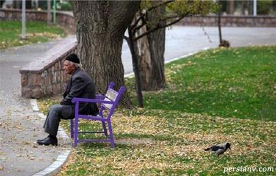 در تهران ماند و گلدان‌های همسایه را به این شکل از بالکن آب داد - چیدانه