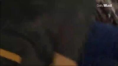 ببینید؛ خرس هار پدر و پسر را در جنگل کشت؛ محیط‌بان فداکار به‌سختی جان سالم برد