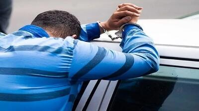 عاملان تیراندازی به محیط‌بان کرمانی بازداشت شدند؛ روند قضایی آغاز شد