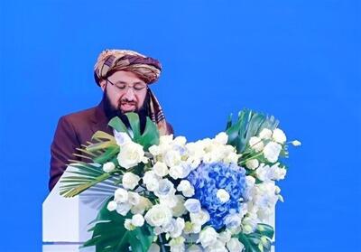 سفیر طالبان: افغانستان امنیت سرمایه‌گذاران را تضمین می‌کند - تسنیم