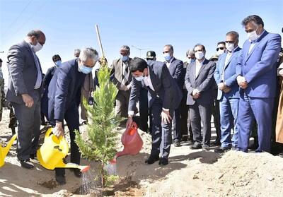 اقلیم آب‌وهوایی در انتخاب پوشش گیاهی دامغان مورد توجه باشد - تسنیم