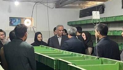 ضرورت توسعه مشاغل خرد و خانگی در سیستان و بلوچستان