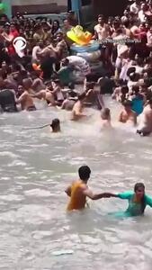 ببینید؛ وحشت گردشگران از حضور مار در استخر
