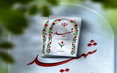 شهادت سرباز نیروی دریایی ارتش در حمله اسرائیل